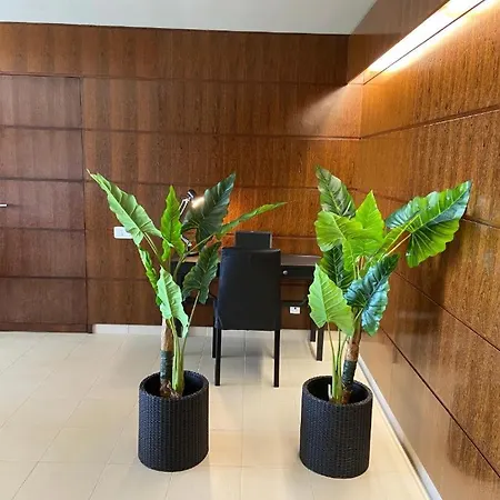 Salgados Retreat * Bicas